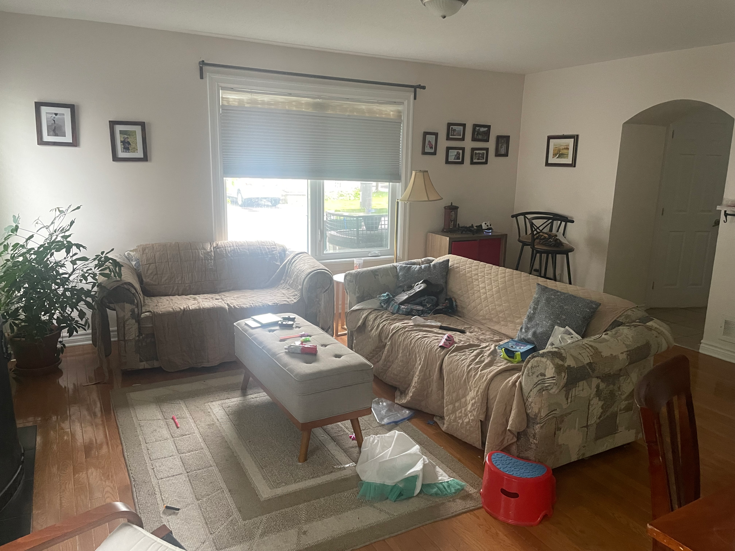 Cleaning fantasies and the Apple Pencil hunt