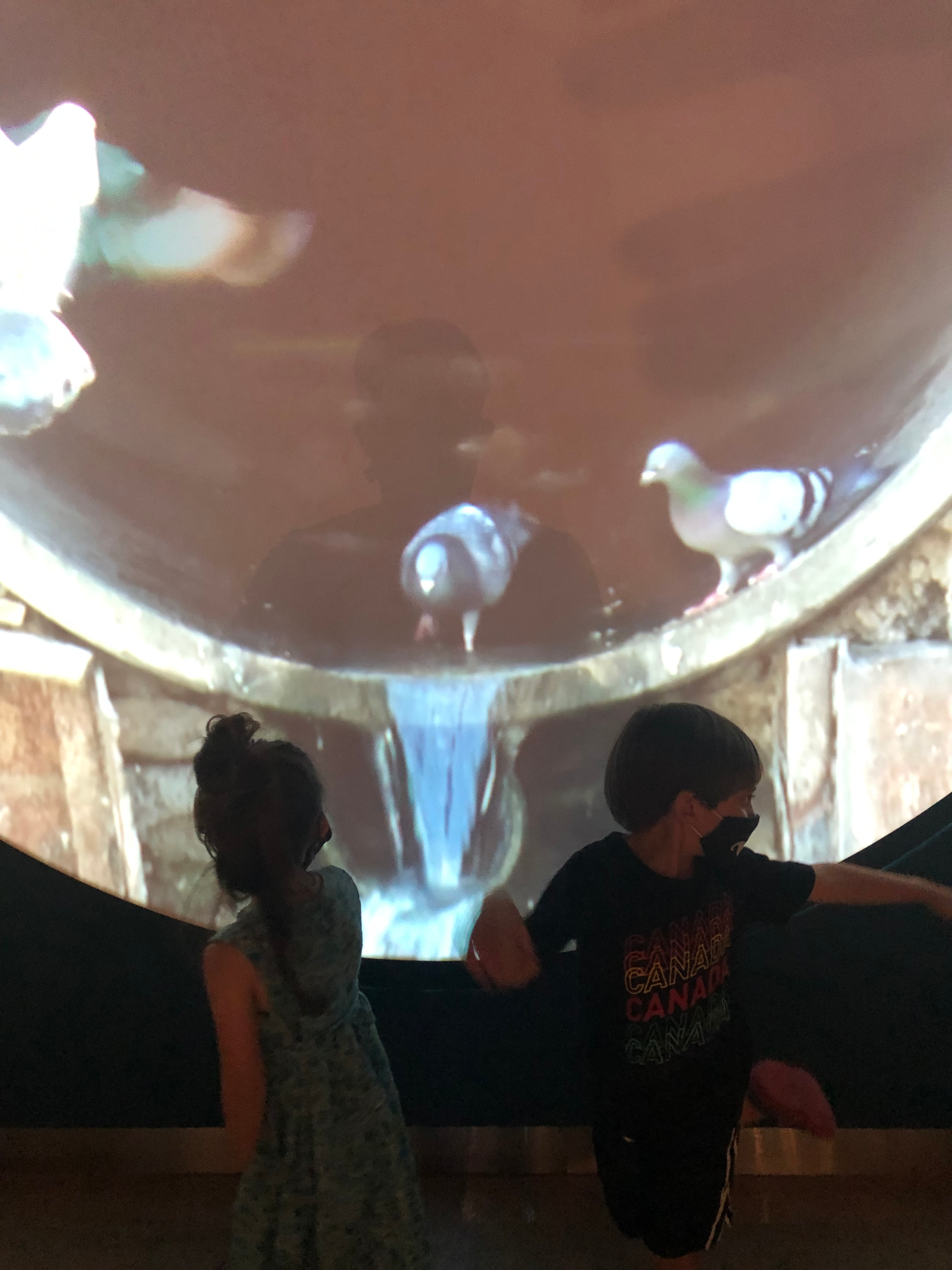 The lies we tell the children