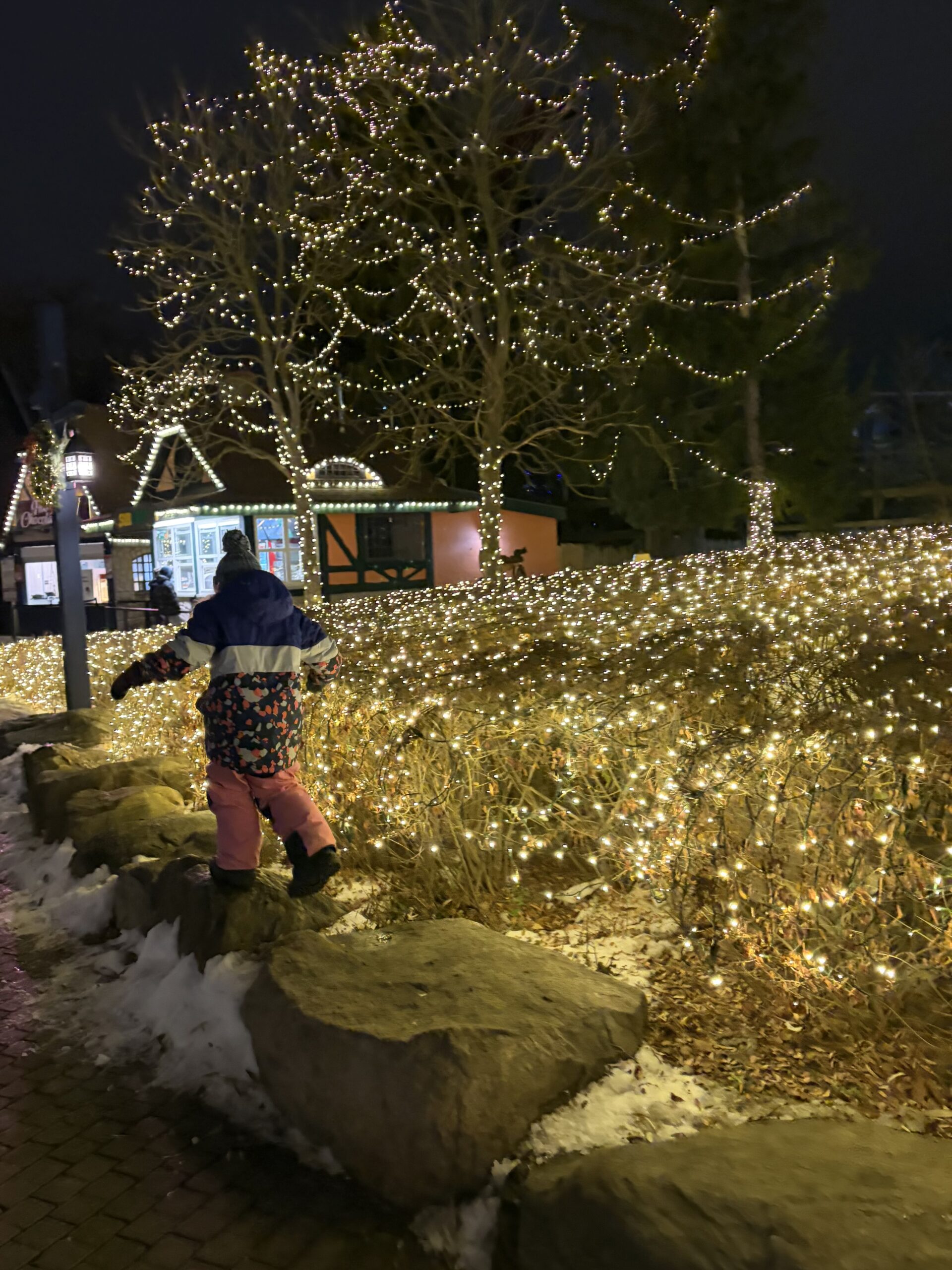 Reflecting on the Year That Was 2025