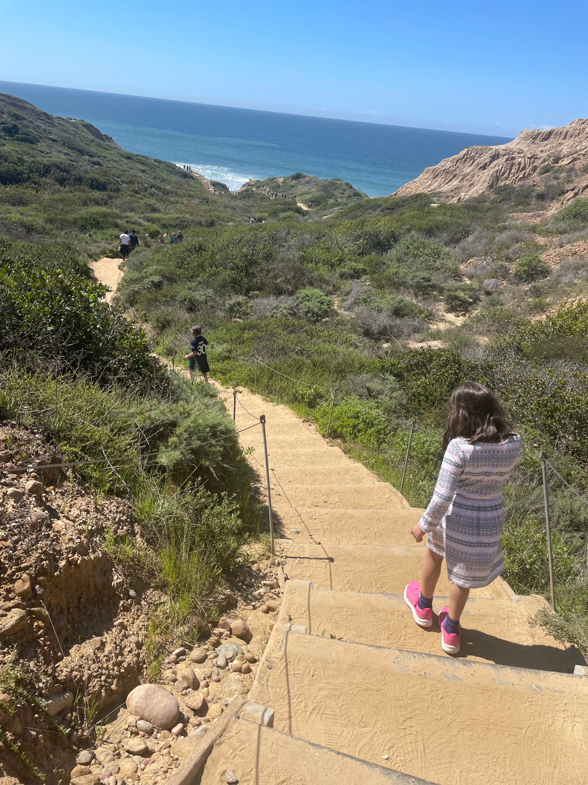 The Trip to San Diego: Our First Adventure After Divorce
